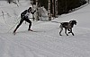 draget027.jpg draget027.jpg
