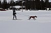 draget029.jpg draget029.jpg
