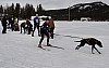 draget034.jpg draget034.jpg