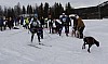 draget035.jpg draget035.jpg