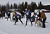 draget036.jpg draget036.jpg