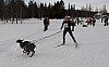 draget038.jpg draget038.jpg