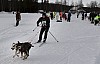 draget039.jpg draget039.jpg