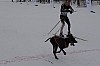 draget062.jpg draget062.jpg