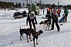 draget066.jpg draget066.jpg