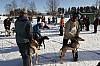 lordag004.jpg