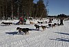 lordag010.jpg