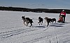 lordag025.jpg