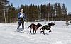 lordag038.jpg