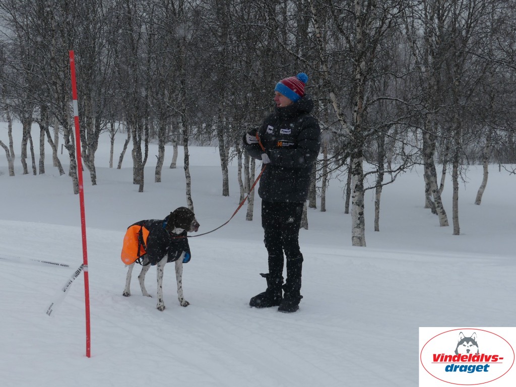 P1060457_resultat.jpg