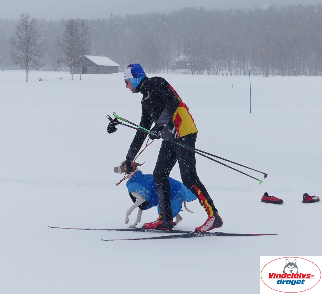 P1060464_cr_resultat.jpg