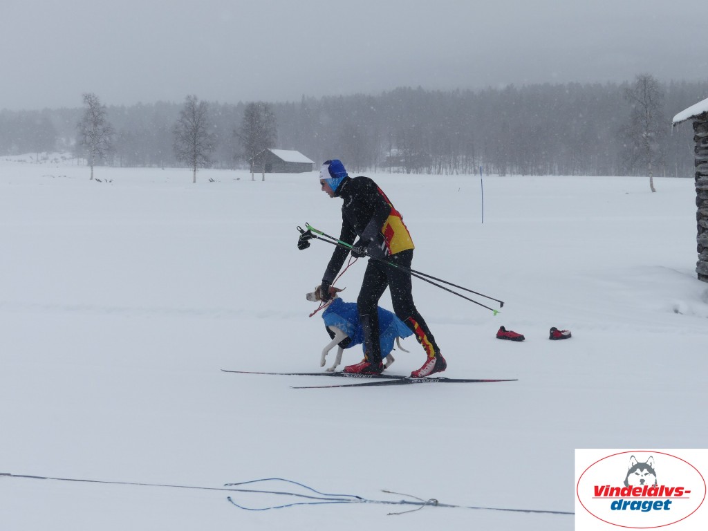 P1060464_resultat.jpg