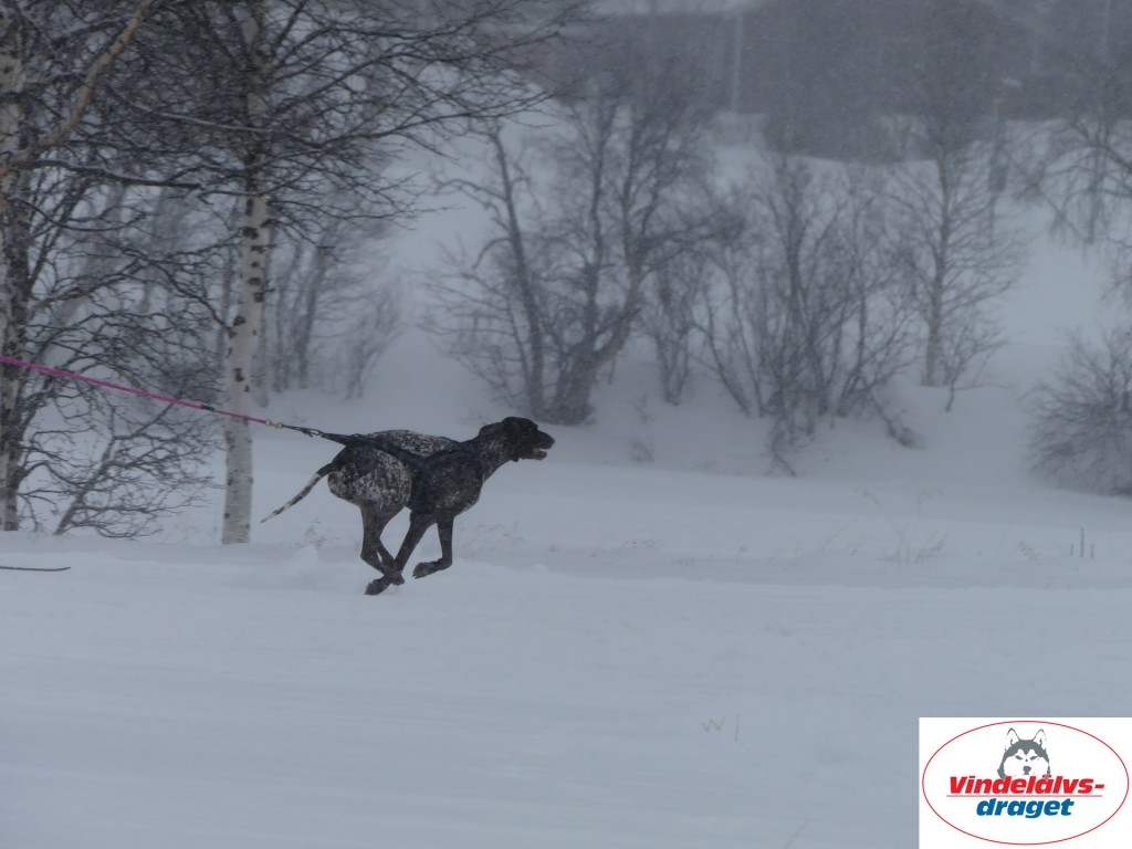 P1060514_resultat.jpg