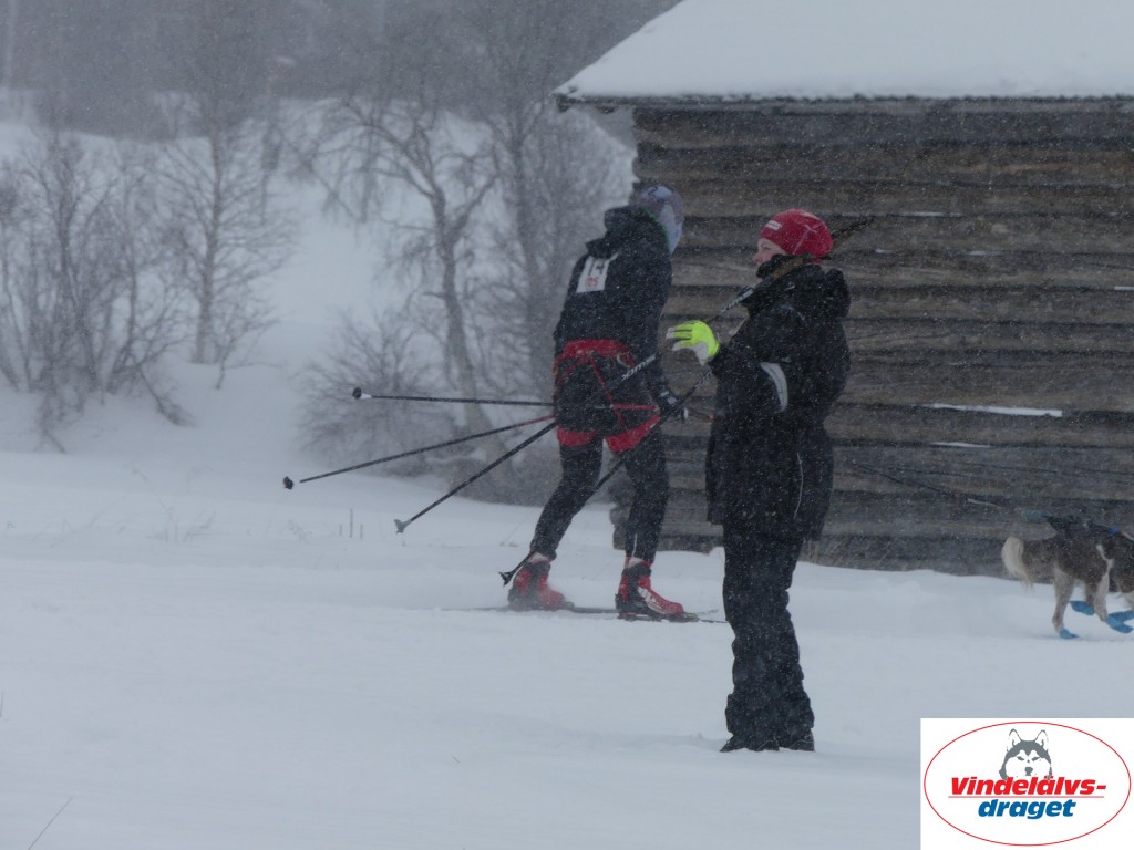 P1060516_resultat.jpg
