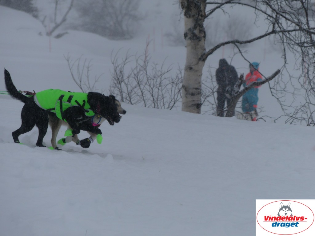 P1060521_resultat.jpg
