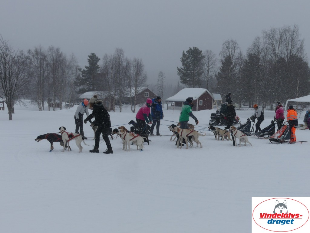 P1060531_resultat.jpg