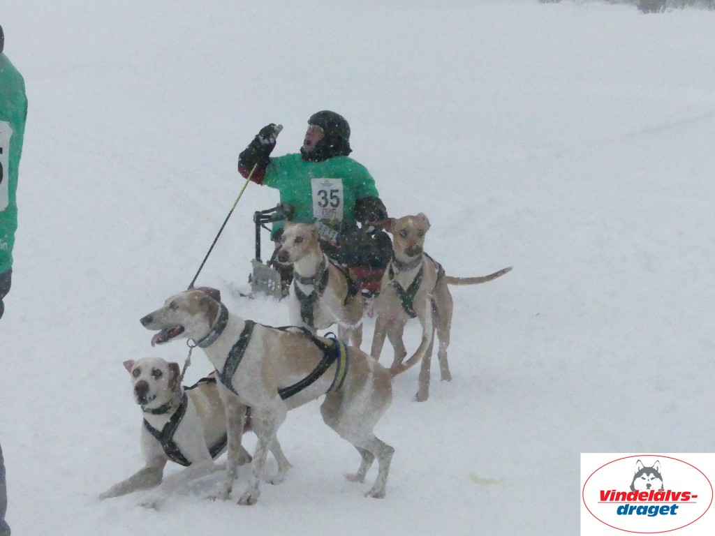 P1060622_resultat.jpg