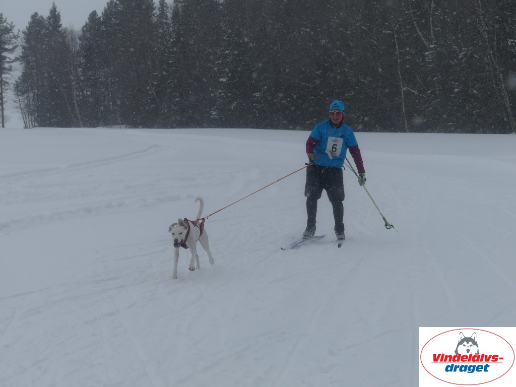 P1060666_resultat.jpg
