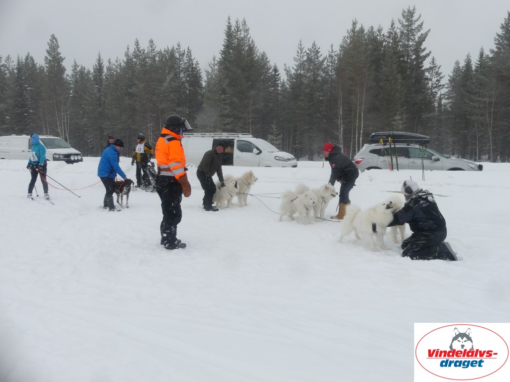 P1060677_resultat.jpg
