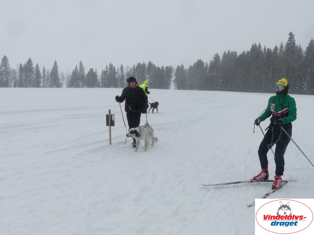 P1060687_resultat.jpg