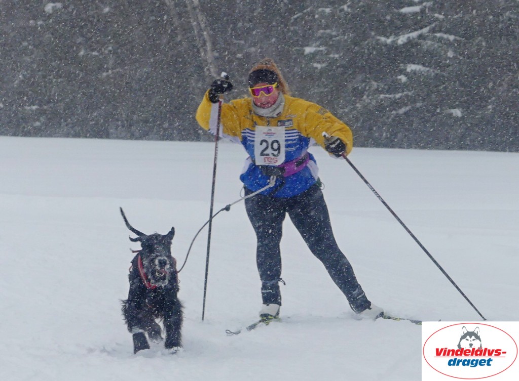 P1060692_cr_resultat.jpg