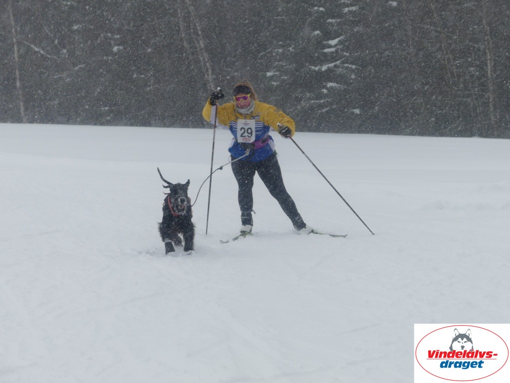 P1060692_resultat.jpg