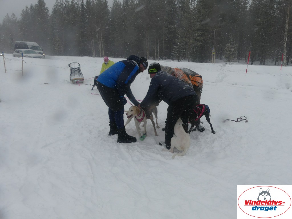 P1060704_resultat.jpg