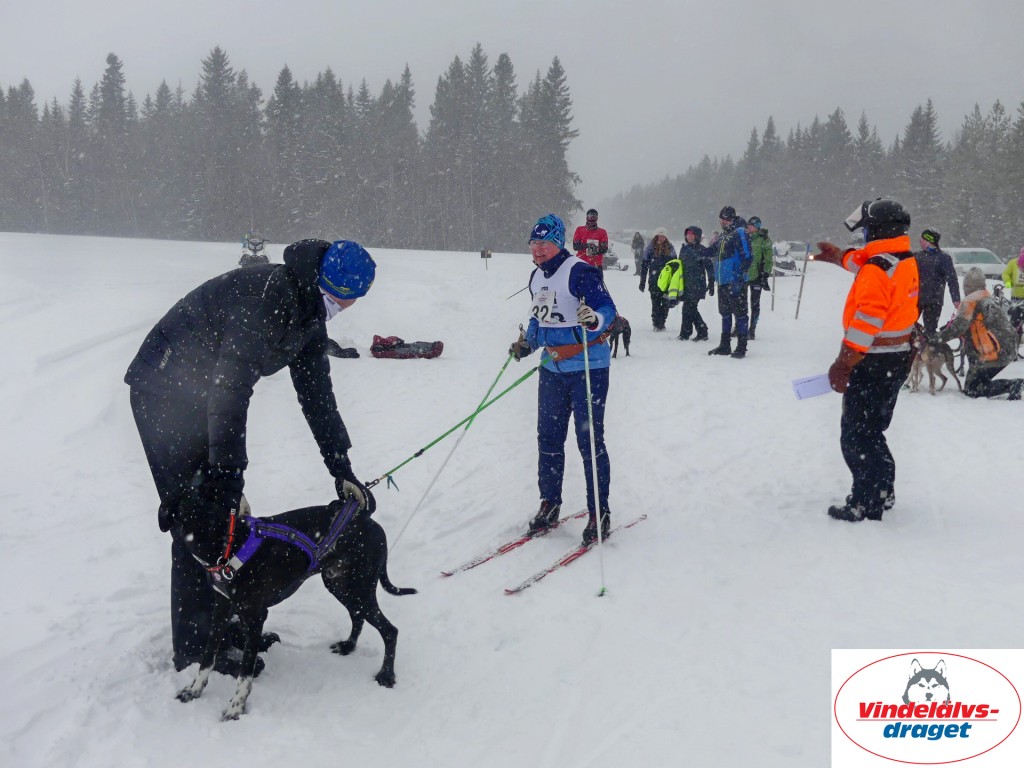 P1060708_resultat.jpg