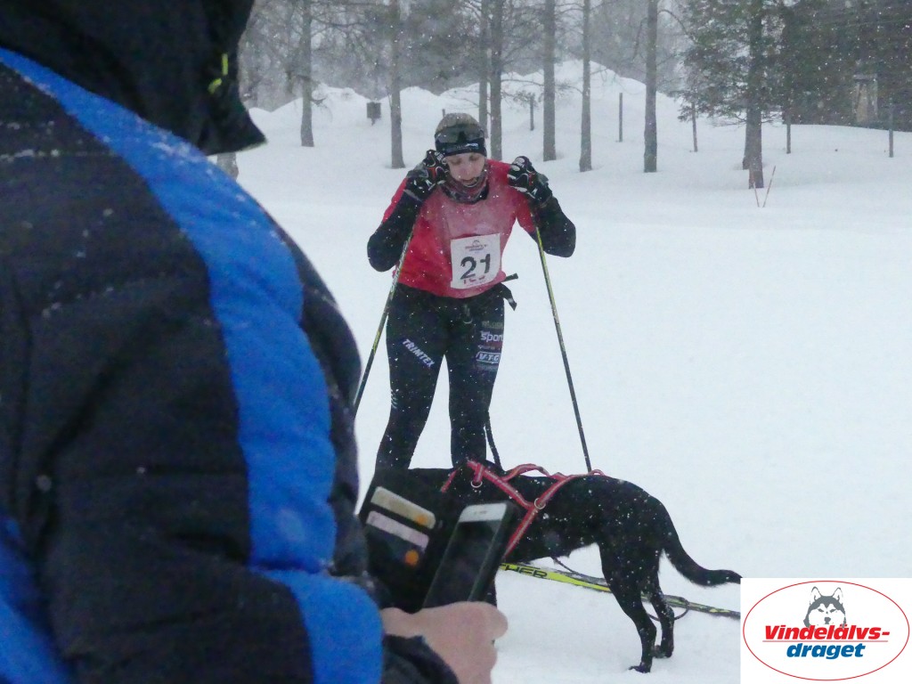 P1060731_resultat.jpg