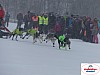 P1060519_resultat.jpg P1060519_resultat.jpg