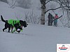 P1060521_resultat.jpg P1060521_resultat.jpg