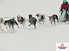 P1060612_resultat.jpg P1060612_resultat.jpg