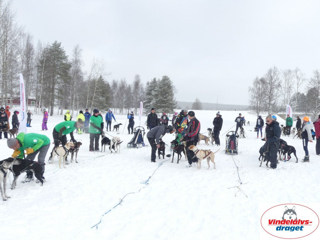 P1060761_resultat.jpg