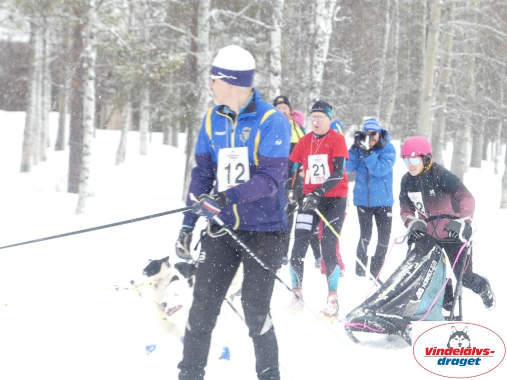 P1060777_resultat.jpg