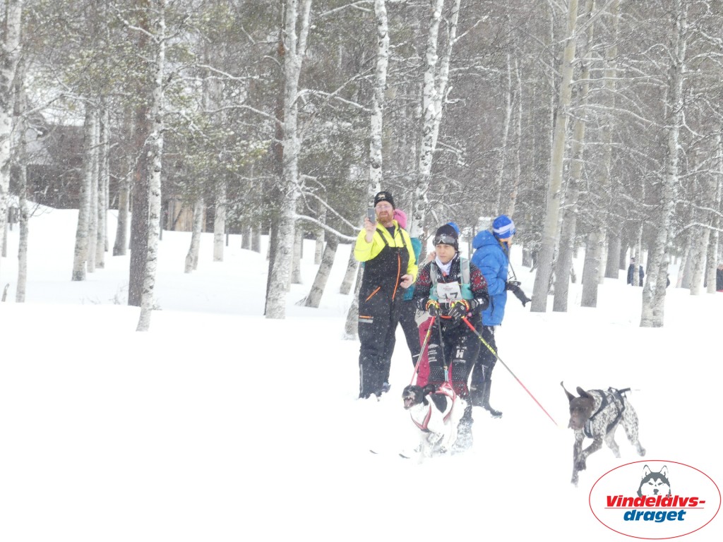 P1060778_resultat.jpg