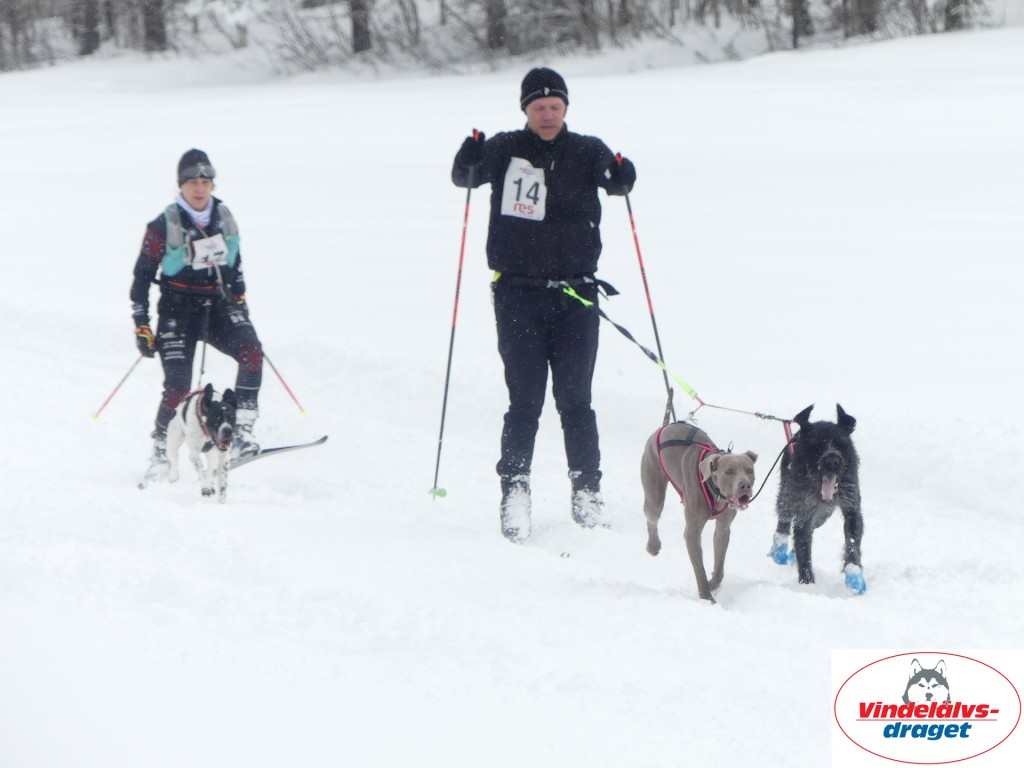P1060781_resultat.jpg