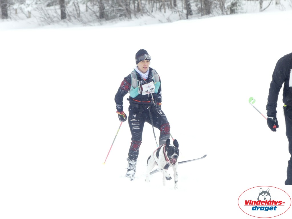 P1060782_resultat.jpg