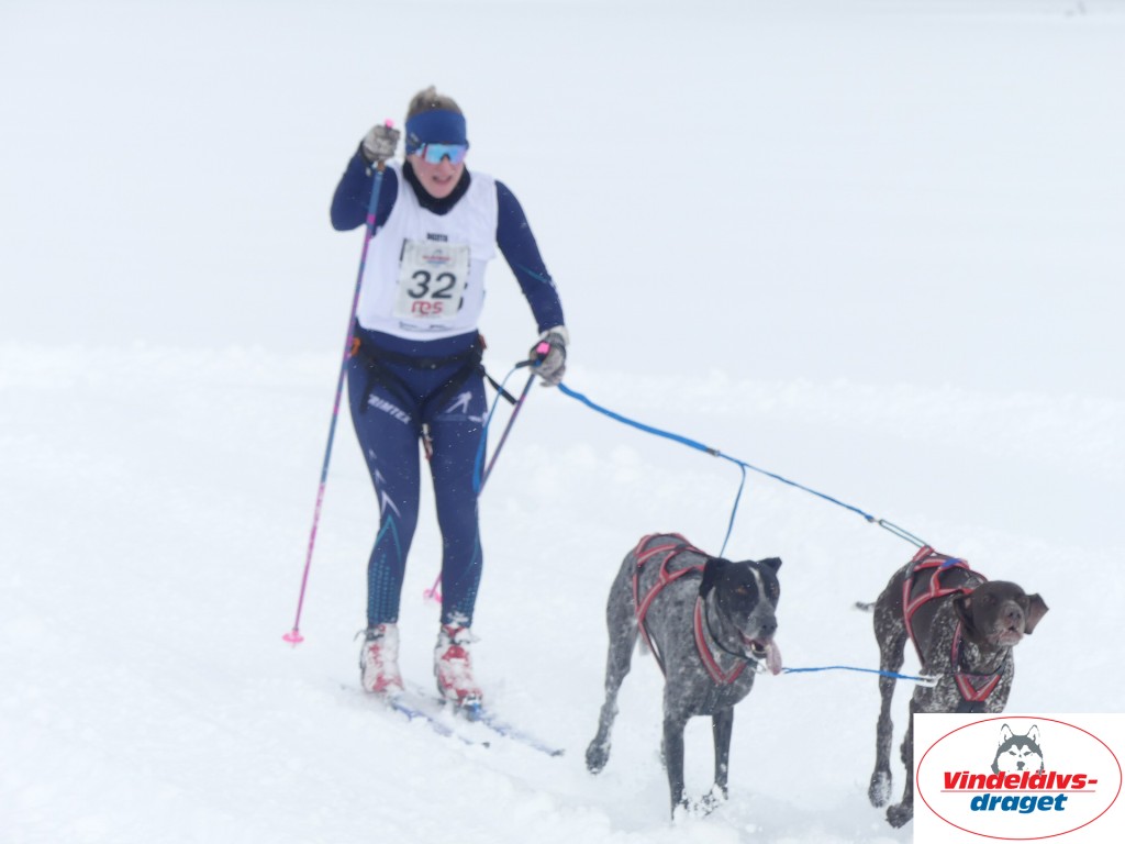 P1060798_resultat.jpg