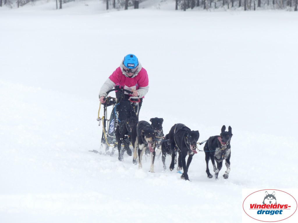 P1060799_resultat.jpg