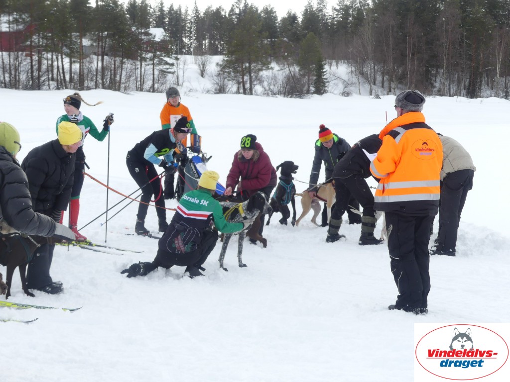 P1060824_resultat.jpg