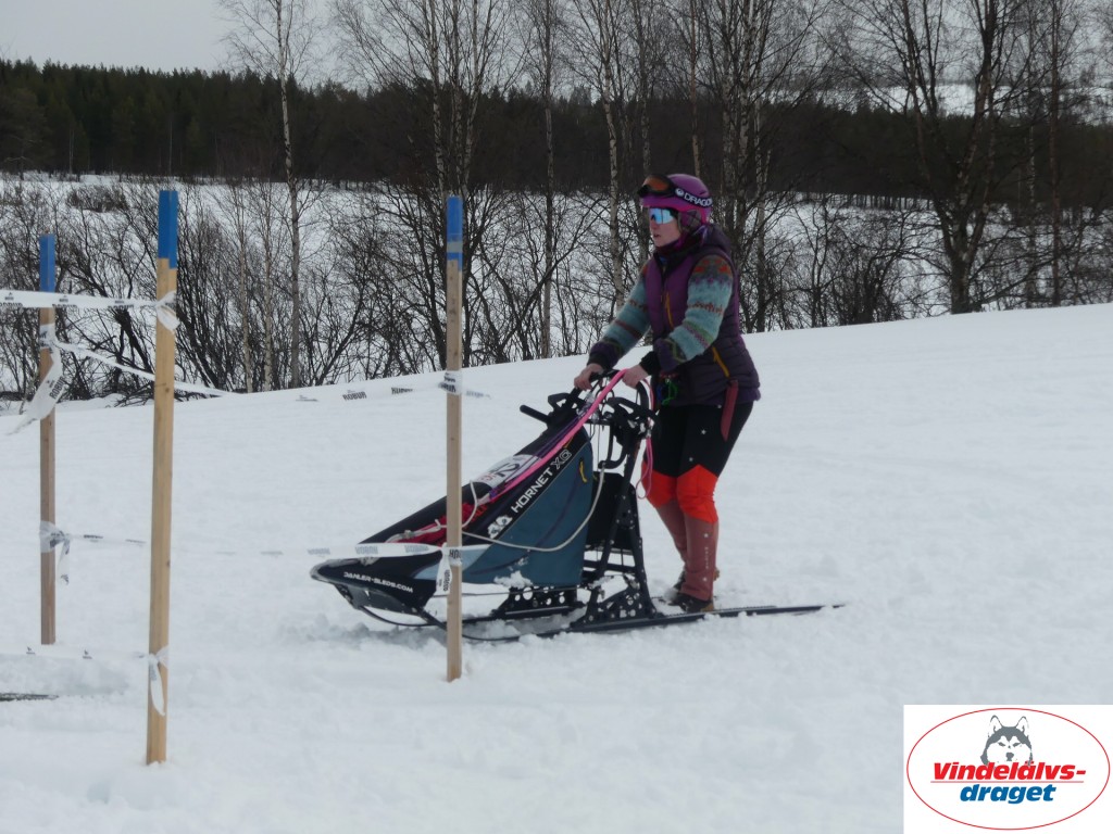 P1060855_resultat.jpg