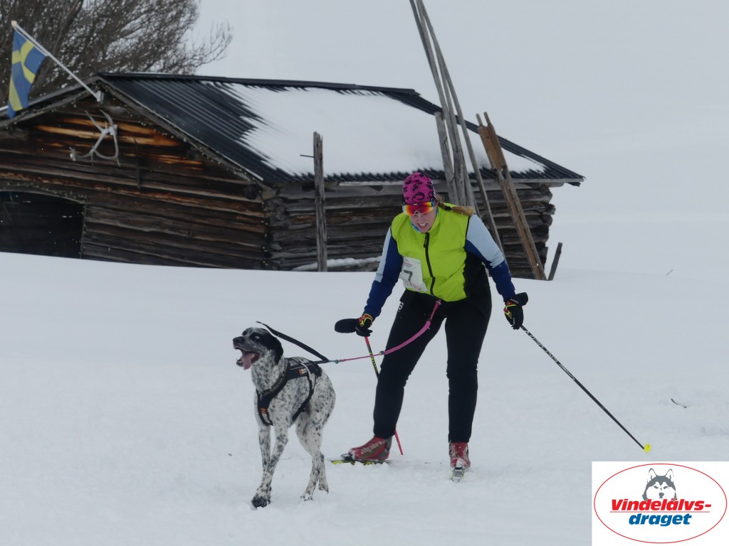 P1060861_resultat.jpg
