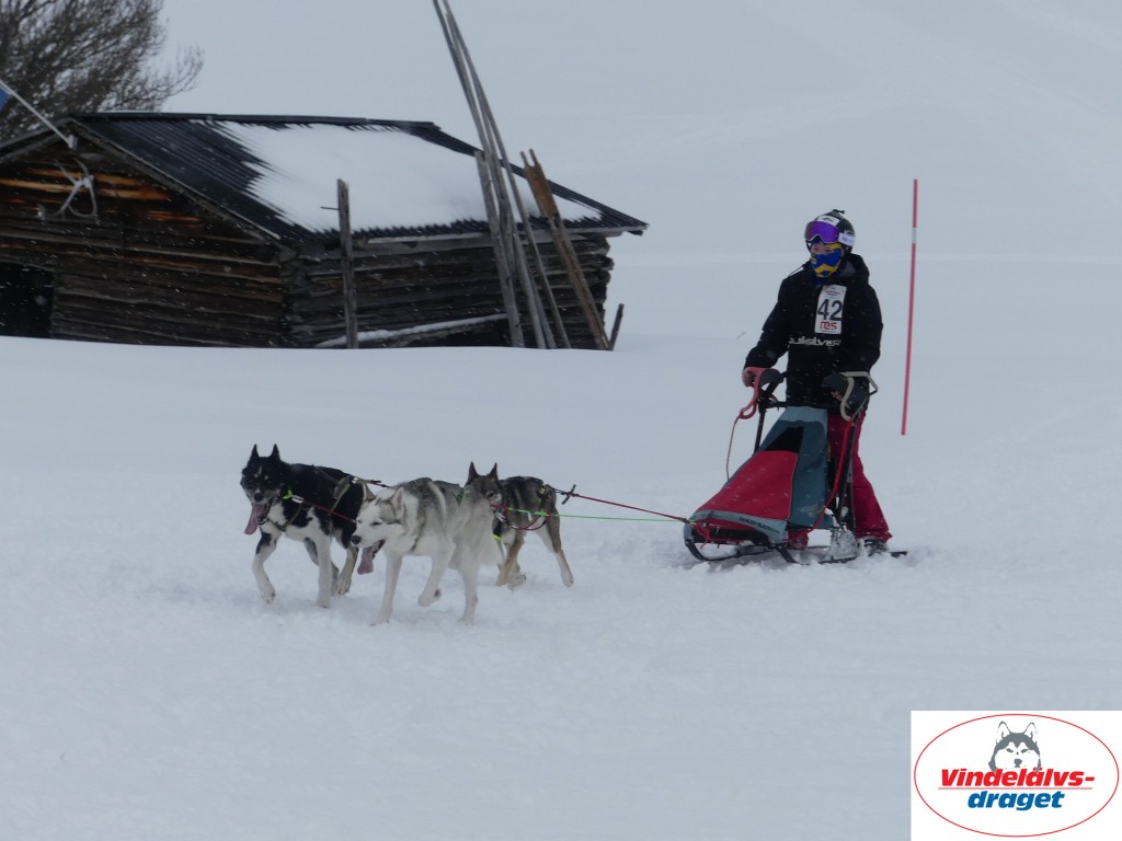 P1060866_resultat.jpg