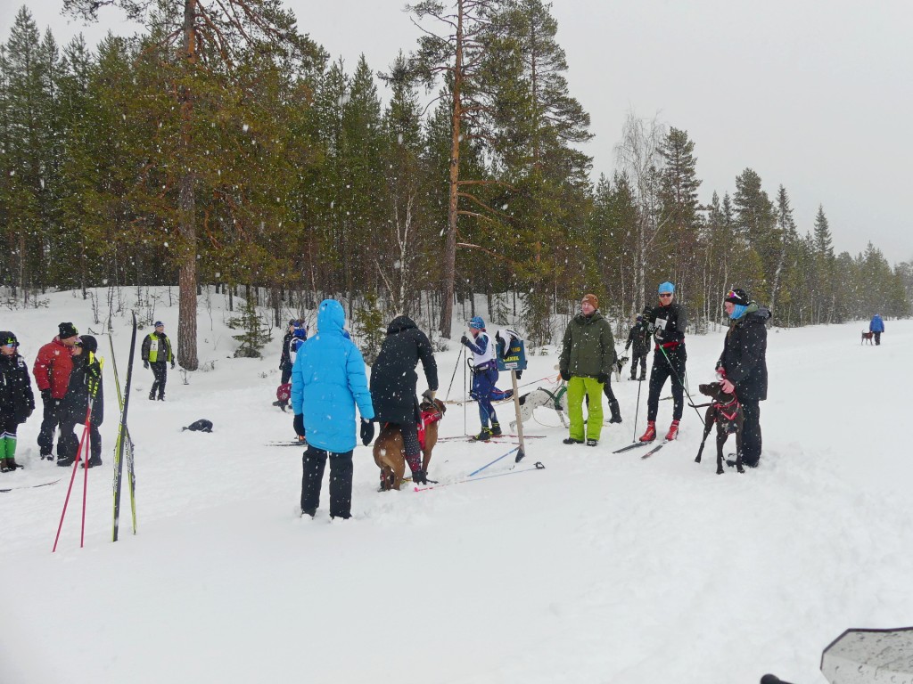 P1060869.jpg
