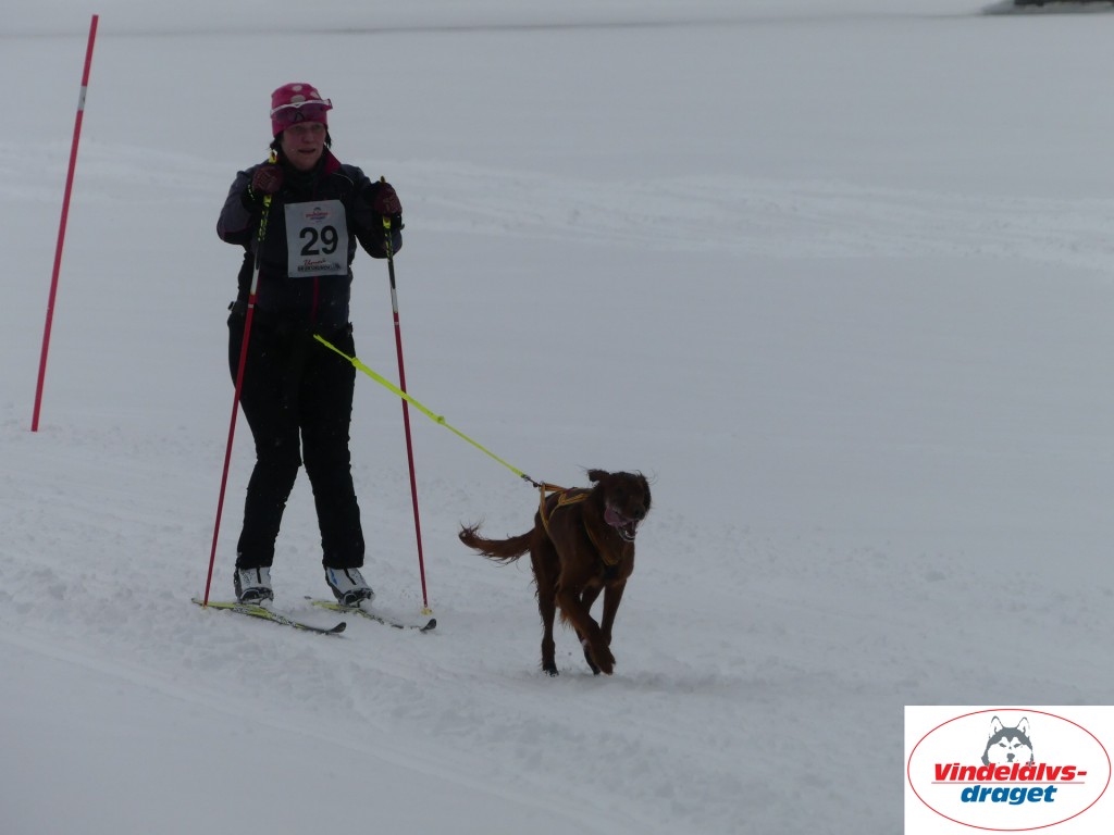 P1060885_resultat.jpg