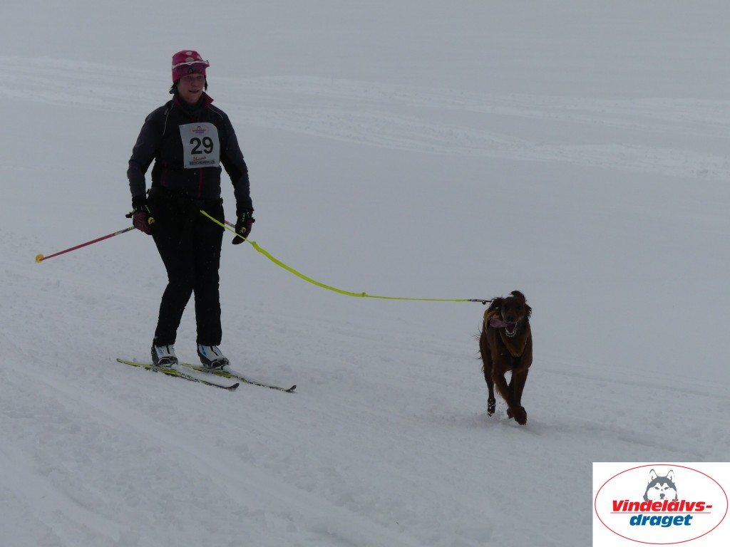 P1060886_resultat.jpg