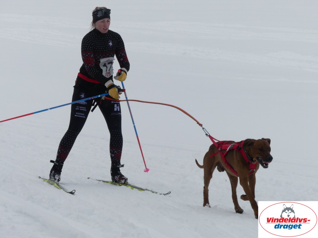 P1060887_resultat.jpg