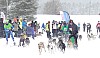 P1060770_cr.jpg P1060770_cr.jpg