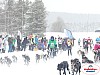 P1060772_resultat.jpg P1060772_resultat.jpg