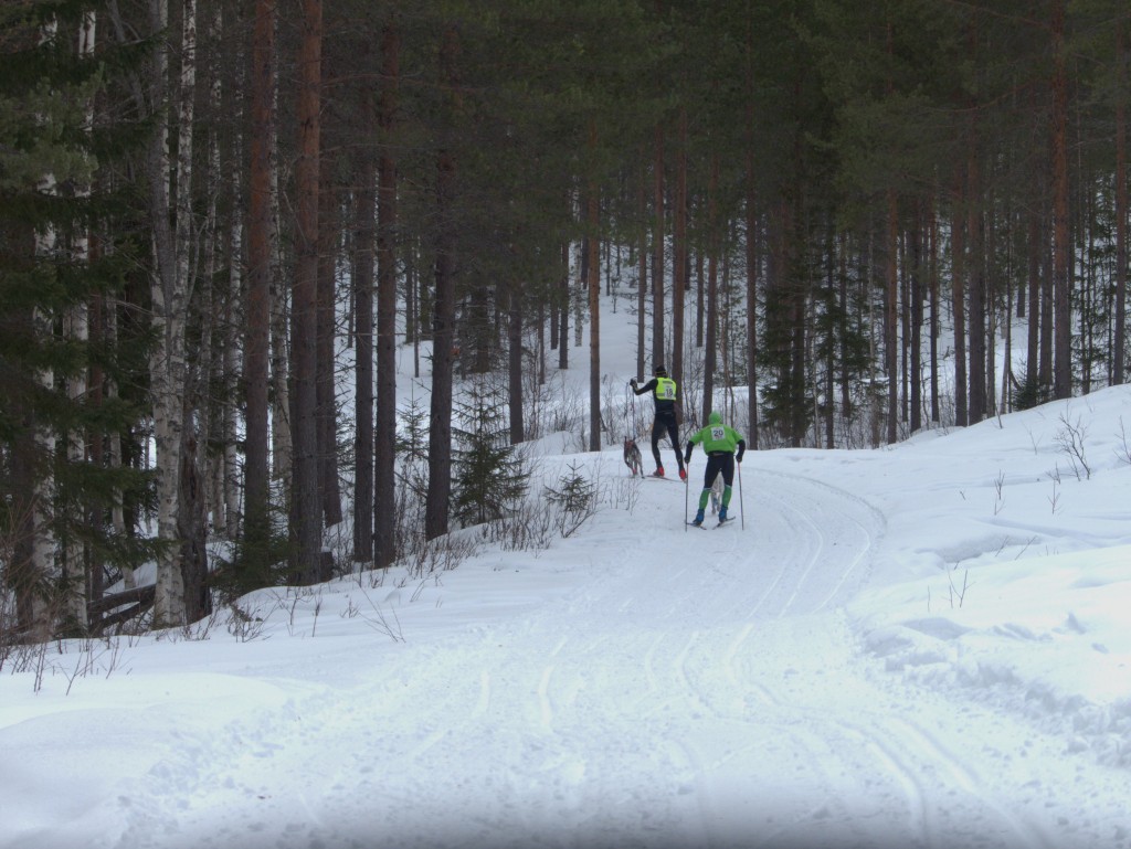 P1070004.jpg